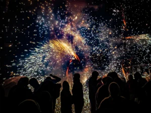 [016] corefocs1 Francisco jose Soto Carda