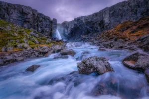 [028] Torrente salvaje Francisco Manuel Haro Jimenez