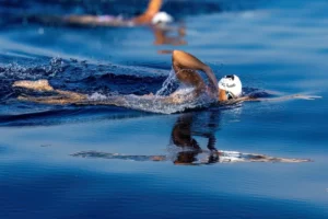 [032] Brazadas de Esperanza Francisco Javier Palos García