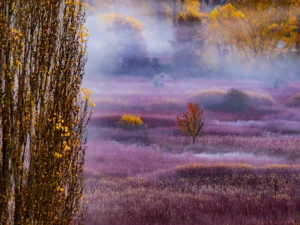 [050] Untitled Fernando Ramírez Oliver