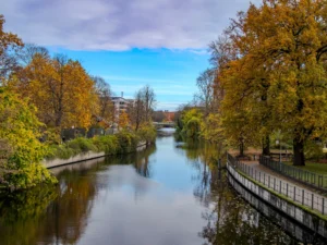 [079] Otoño y rio Vicente Vidal revert