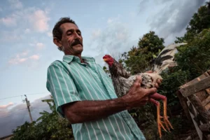 [081] Gallo y gallero Joan R Julbe Masip