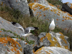 [093] En su paraíso M Teresa Gonzalez Cortés