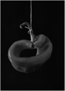 [103] Formas José Rocamora Beviá