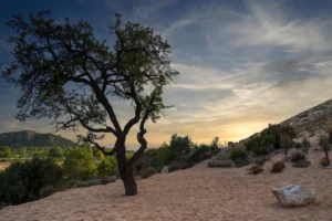 [107] Tarde en el Arenal ABRAHAM DE LA ROSA LÓPEZ