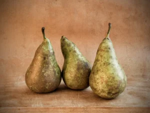 [110] Les trois poires Pepa Ferrandis Fabuel
