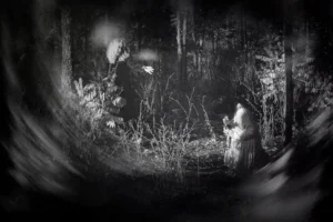 [116] Bosque encantado Francisco Maestre Pardo