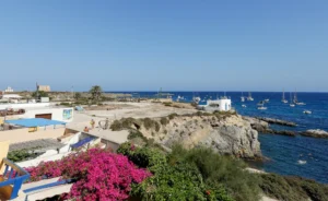 [119] Tabarca Manuel Sánchez Campos