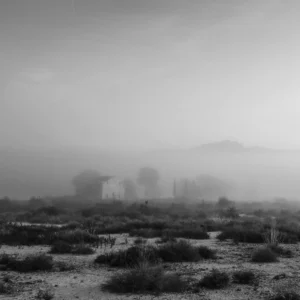 [125] Solitaria Julio Martínez Amoros