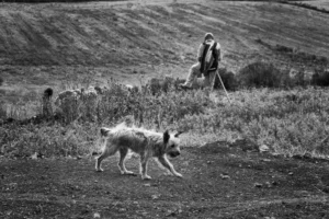 [160] Untitled Juan Miguel Corchado Badía